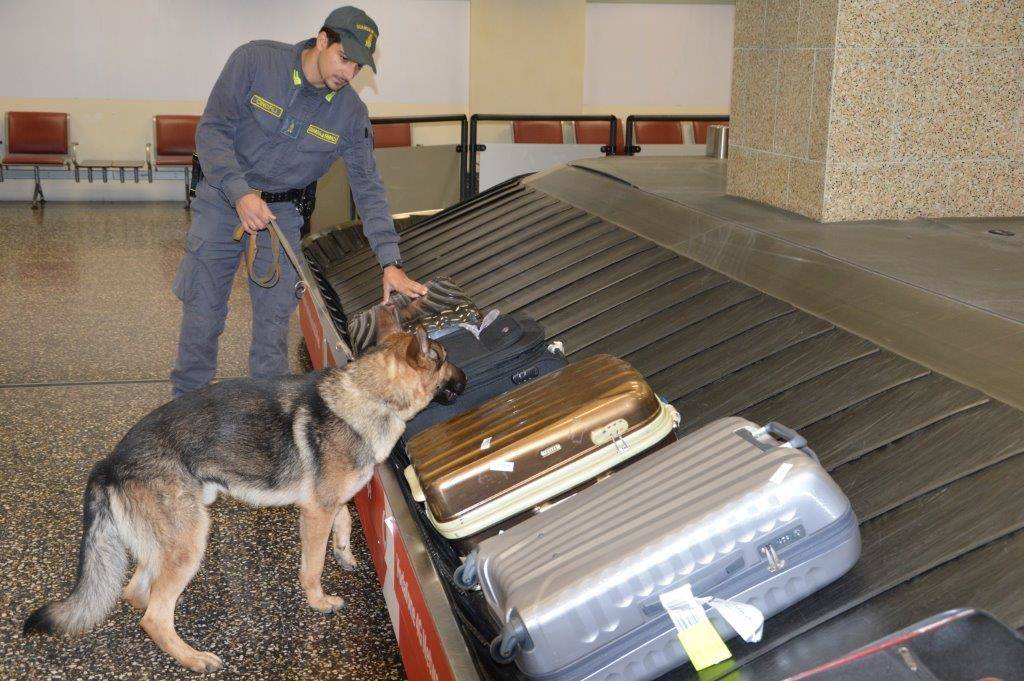 Operazione San Pedro
