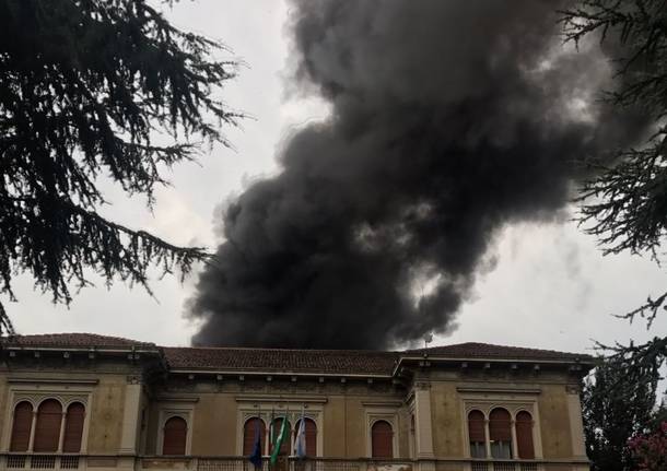 Saronno generica genererico