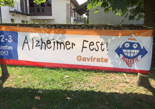 Alzheimer fest