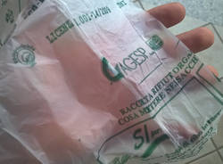 sacchetti agesp umido