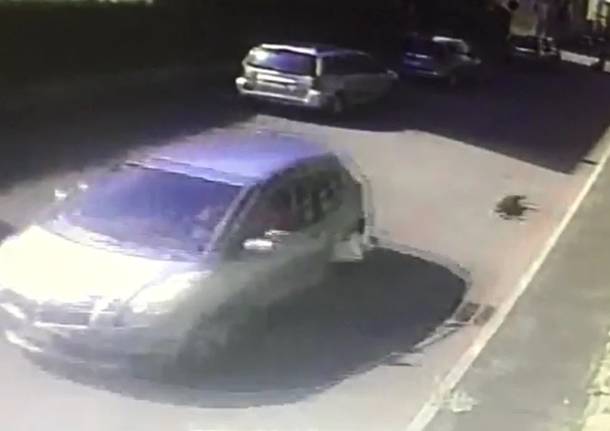 rapina cane trascinato legnano