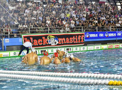 bpm sport management