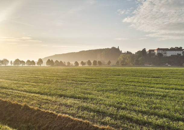 Da Maribor Heviz