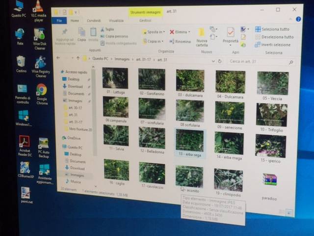 Teresio Colombo, il mago delle piante