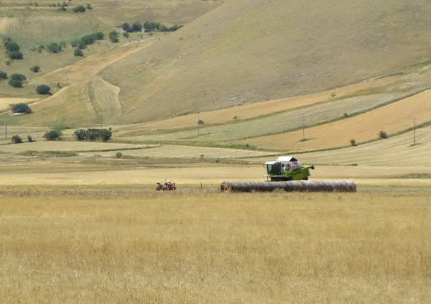 Castelluccio di Norcia agricoltura