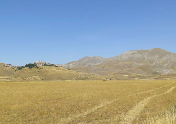 Castelluccio di Norcia