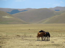 Castelluccio di Norcia