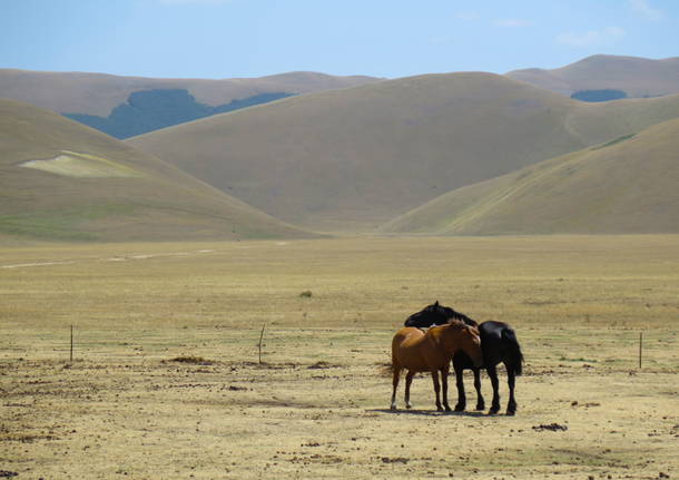 Castelluccio di Norcia