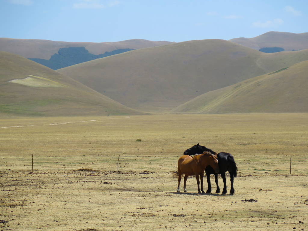 Castelluccio di Norcia