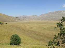Castelluccio di Norcia