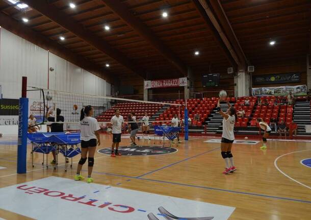 Sab Volley, primo allenamento al Palaborsani