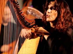 Fabius Constable & Celtic Harp Orchestra