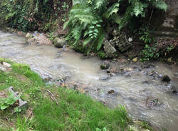 inquinamento fiume olona rasa