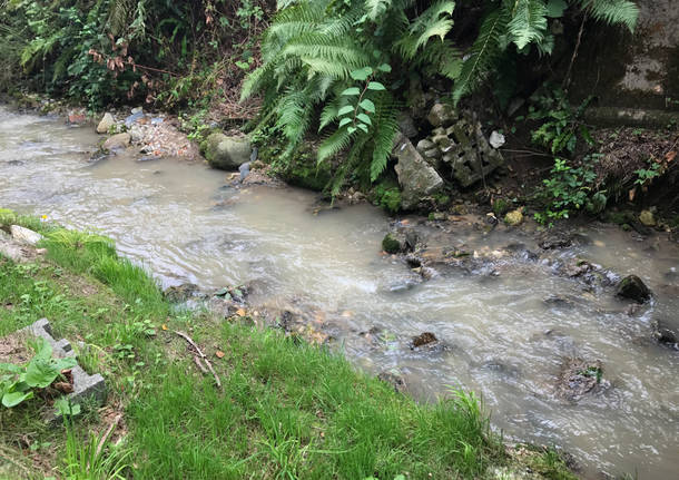 inquinamento fiume olona rasa