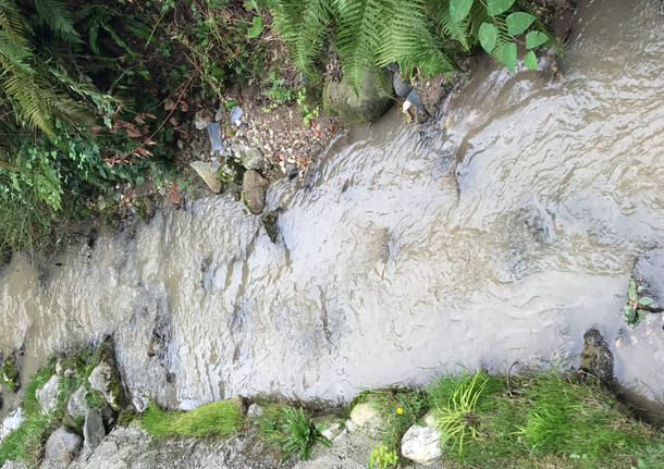 inquinamento fiume olona rasa