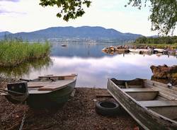 Lago basso a Cazzago Brabbia