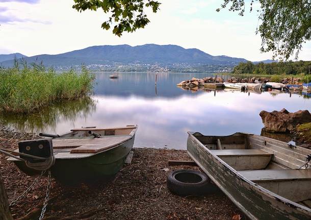 Lago basso a Cazzago Brabbia