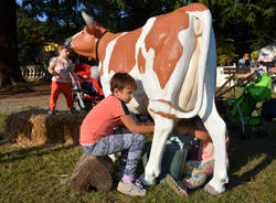 Mostra zootecnica Tradate