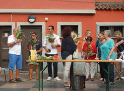 Porto Ceresio - Festa Terra & Acqua 2016