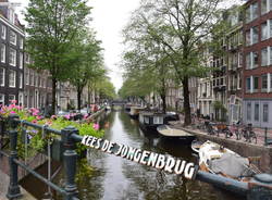 "Scrutando Amsterdam"