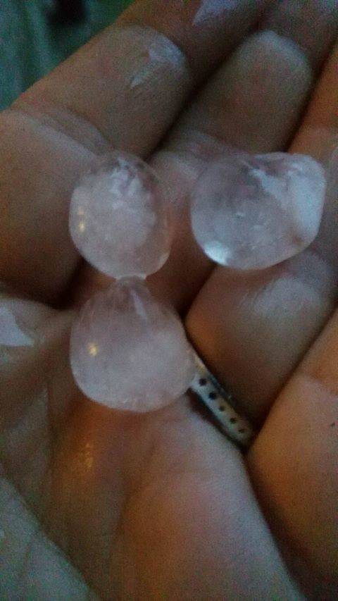 Temporale dei lettori