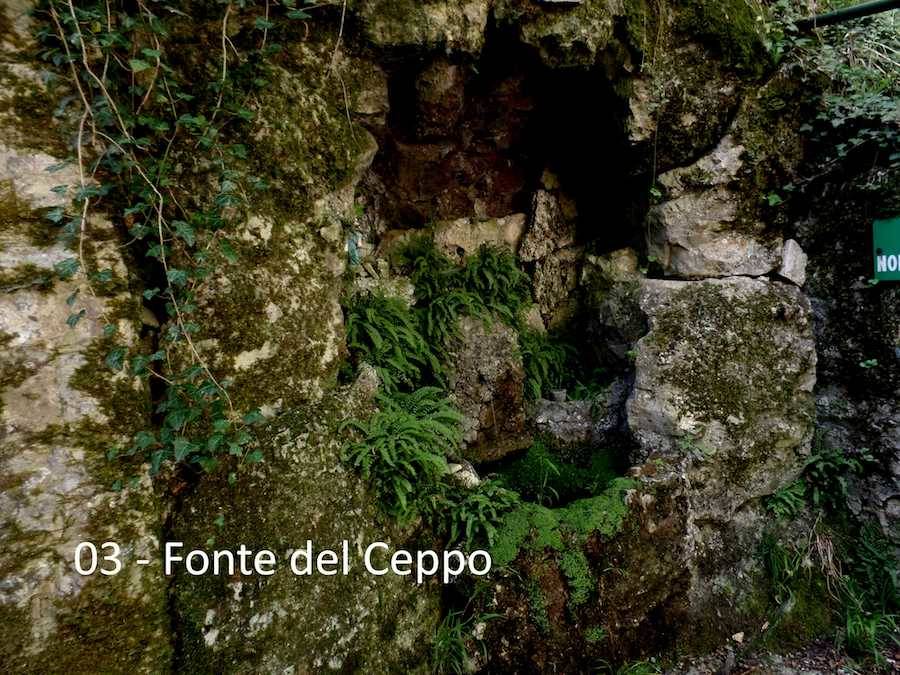 Teresio Colombo escursione agosto 2017