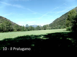 Tra i fiori e le piante del Pralugano e del parco di Villa Cagnola