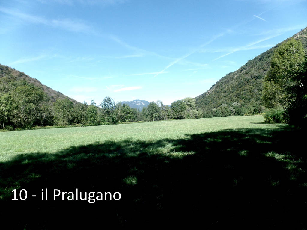 Tra i fiori e le piante del Pralugano e del parco di Villa Cagnola