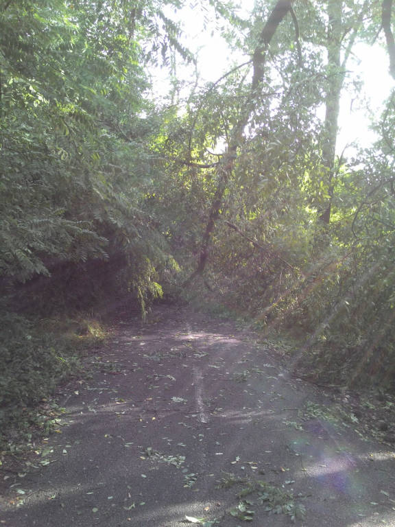 Uragano sulla ciclabile