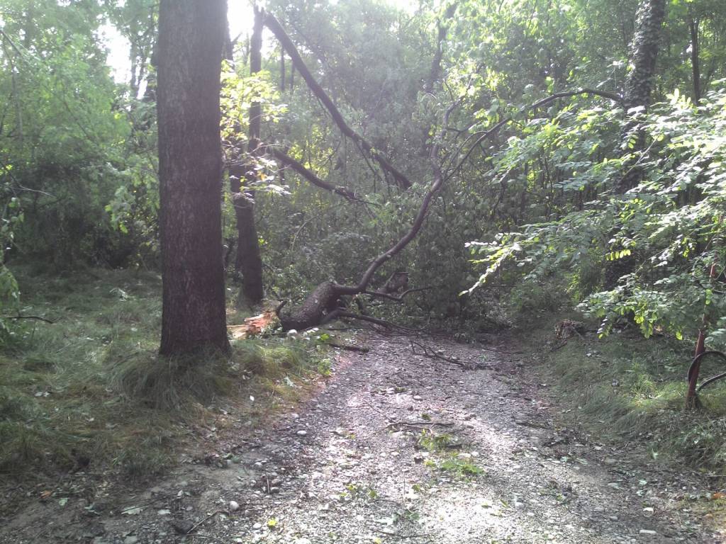 Uragano sulla ciclabile