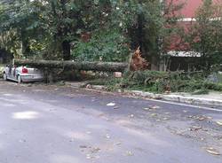 Varese il giorno dopo la tempesta