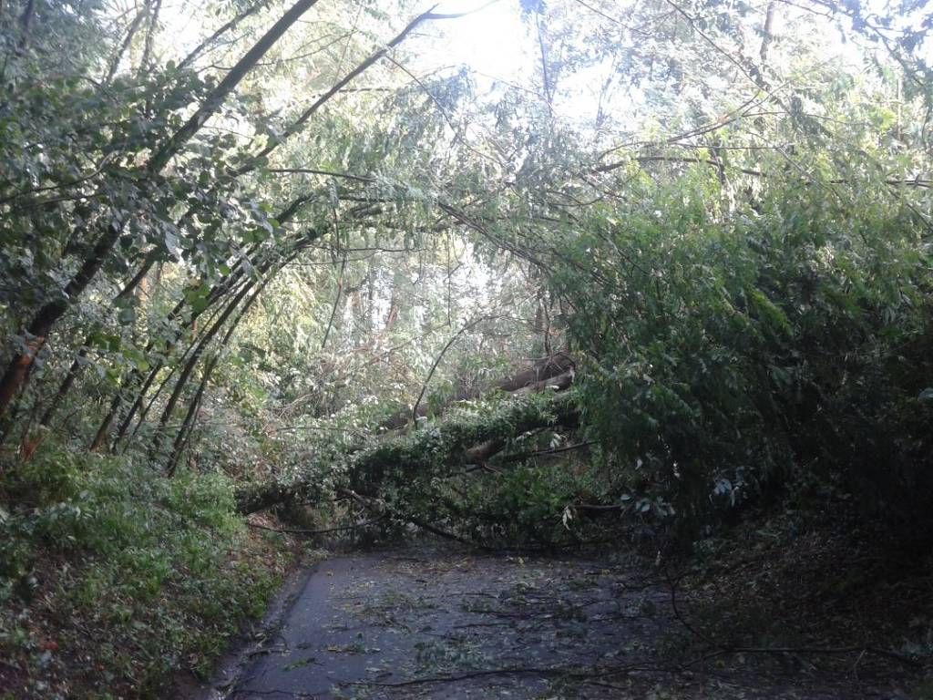 Varese il giorno dopo la tempesta