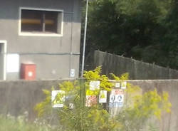 Vedano Olona - Ambrosia