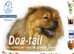 Aperitivo per il canile