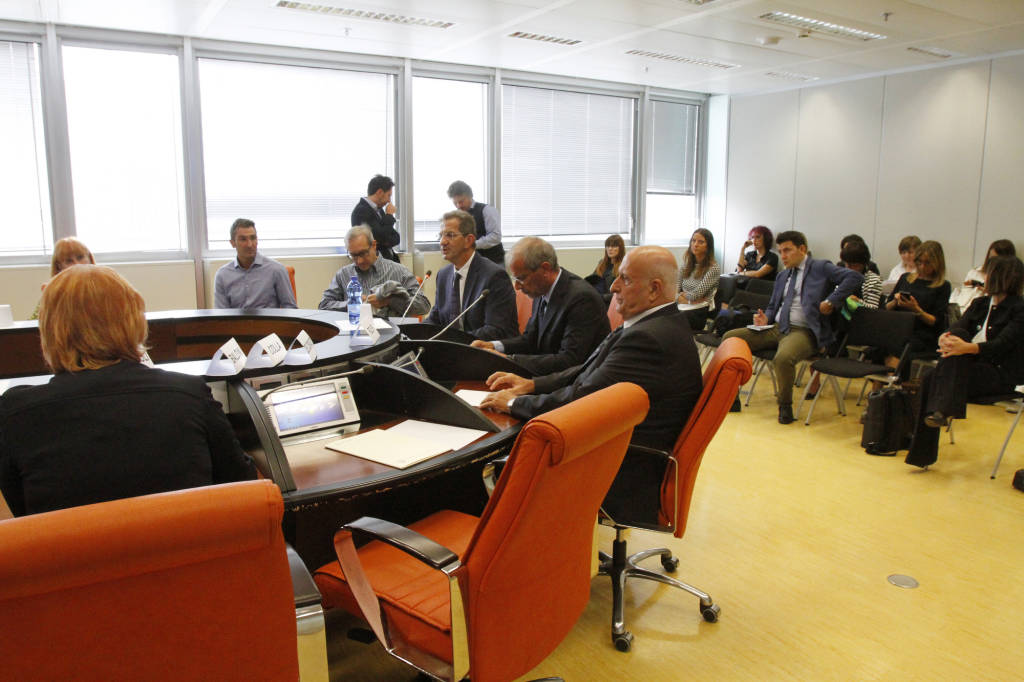 Audizione Regione