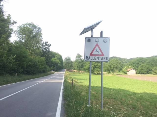 Road kill, il sistema per salvare animali e automobilisti