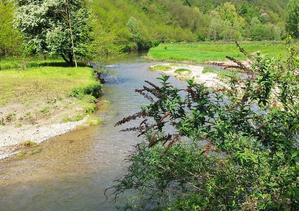 Riflettendo sulla sicurezza lungo la Valle dell’Olona