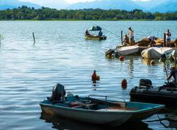 cazzago brabbia  - vita da pescatori di antonia rana