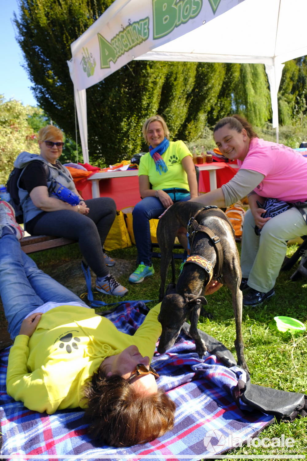Festa dello Sport a Buguggiate