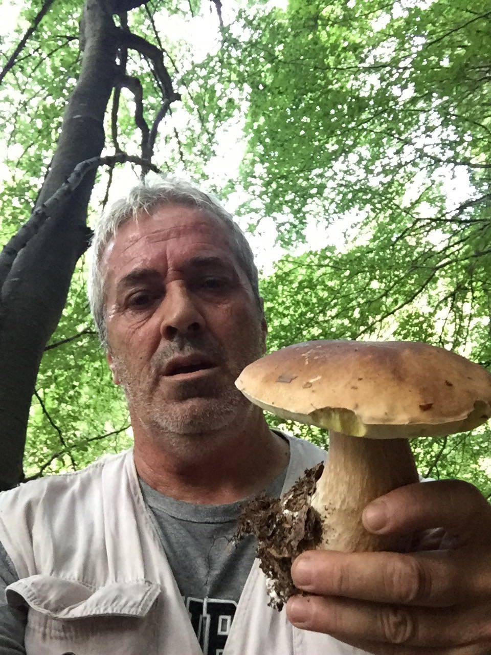 Funghi a profusione