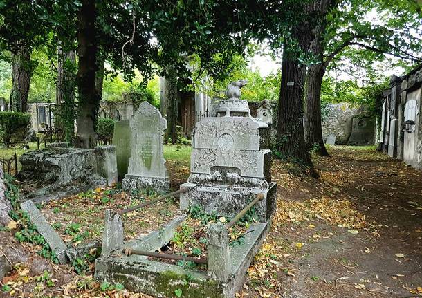 Il cimitero Vecchio di Viggiù