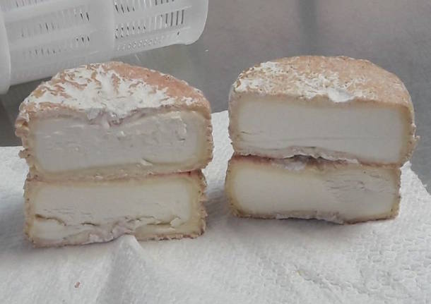 Il formaggio Capracanta