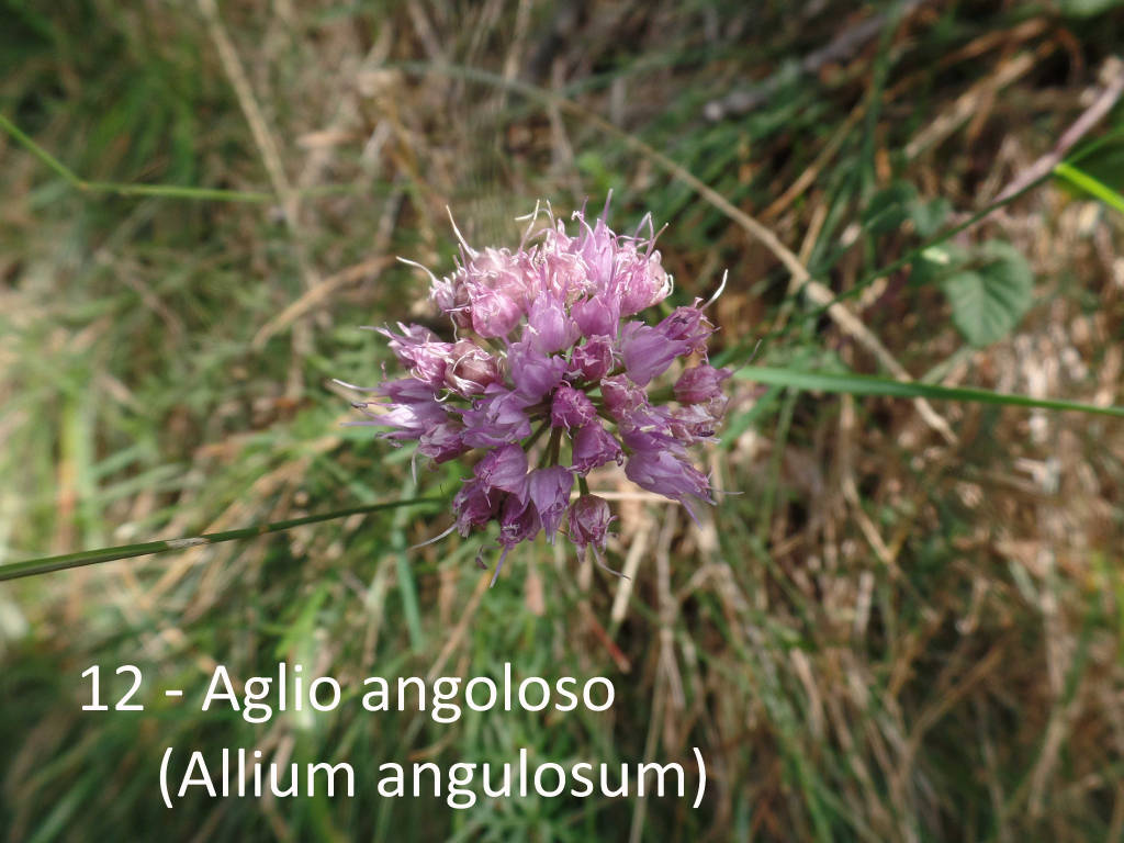 L'escursione a Curiglia con Monteviasco di Teresio Colombo