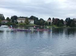 La gara di Dragon Boat a Sesto Calende