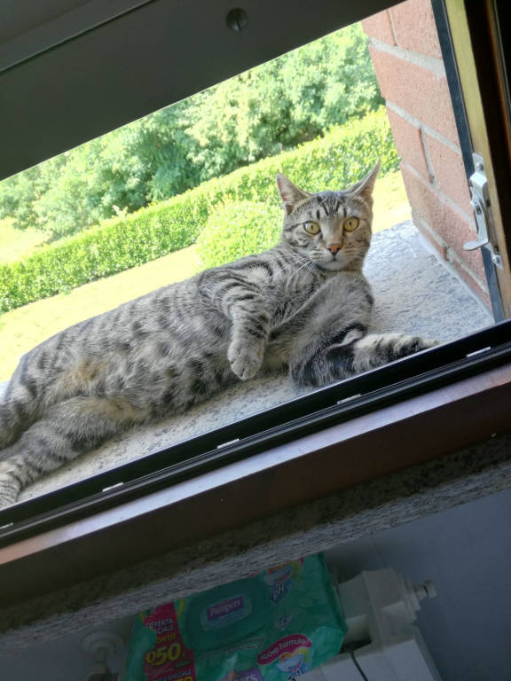 Mia