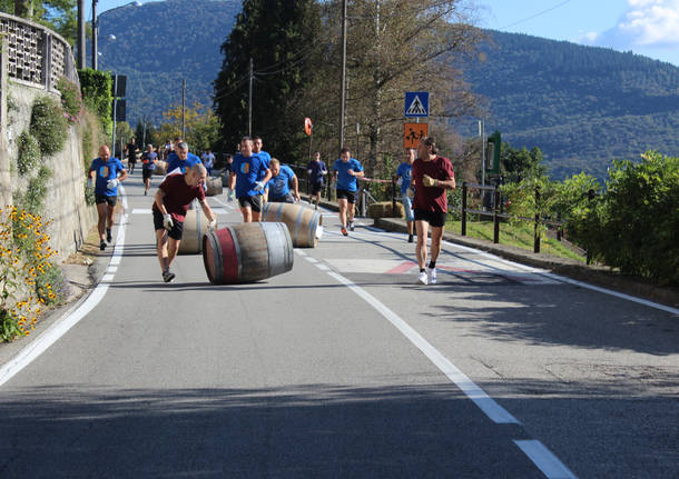 palio delle botti motte luino 2017