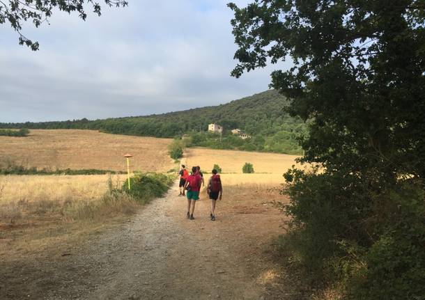 via Francigena