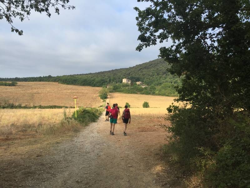 via Francigena