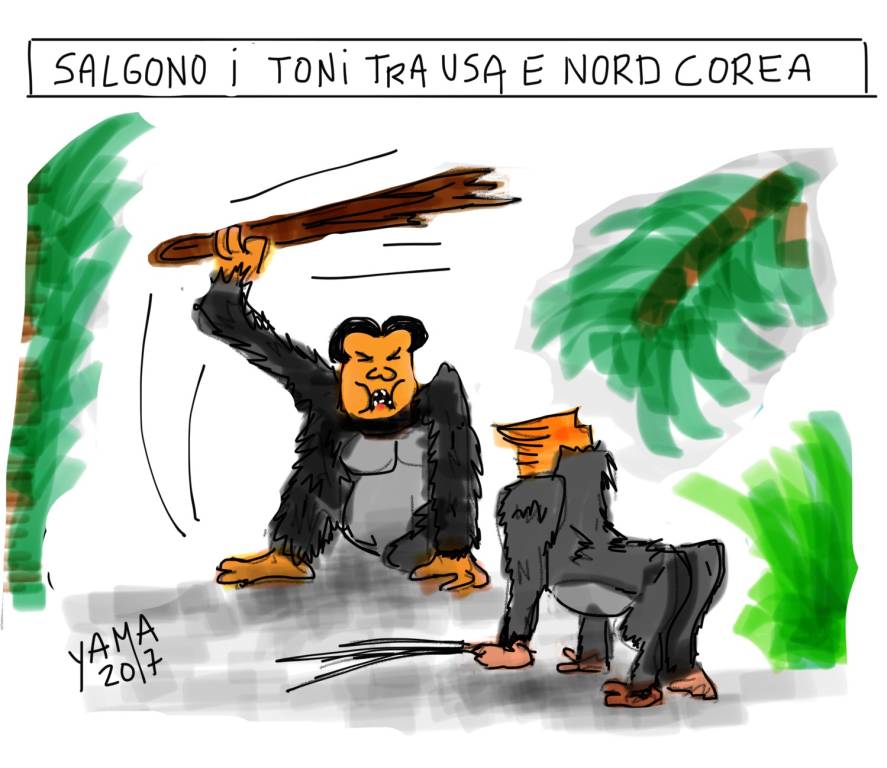 vignetta pierre ley