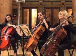 violoncello